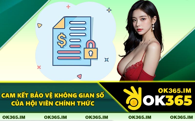 Quyền Riêng Tư OK365 Cam Kết Bảo Vệ Không Gian Số Của Hội Viên Chính Thức